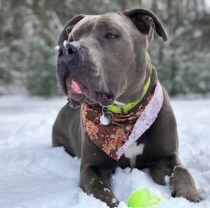 Meet your Posher, Emma